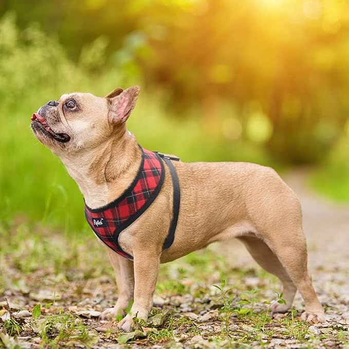 PUPTECK Soft Mesh Dog Harness and Leash Set Pet Puppy Cat Comfort Padded Vest - Image 6