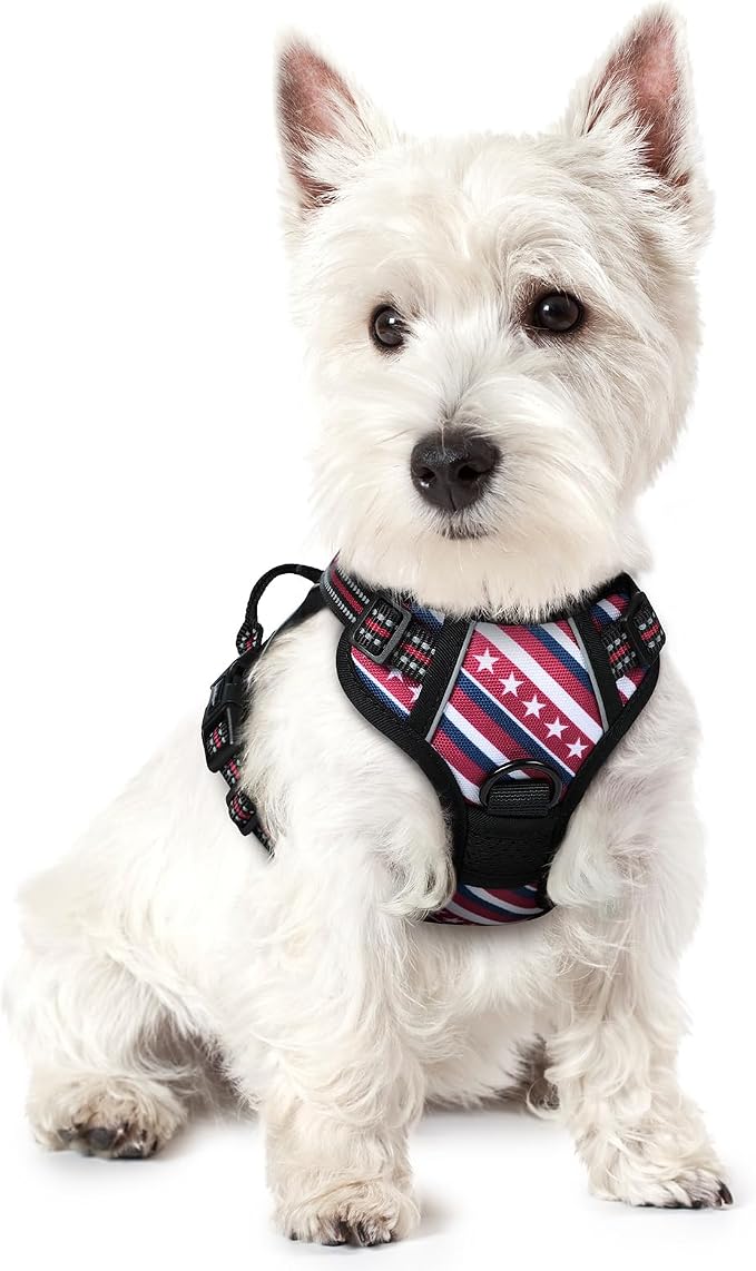 rabbitgoo Dog Harness No Pull by rabbitgoo