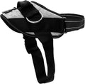 ShawnCo Essential Dog Harness, No-Pull Pet Vest by SHAWNCO