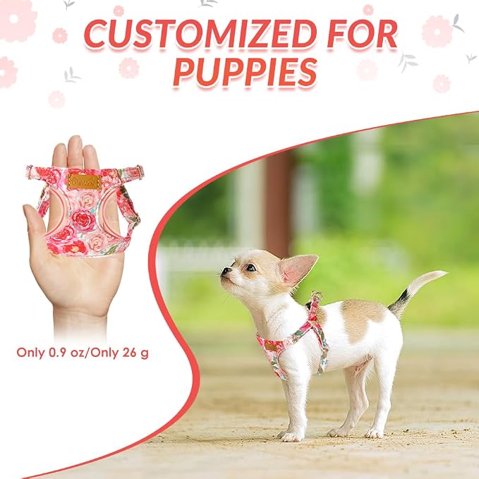 SlowTon Dog Harness Small Sized Dog - Image 2