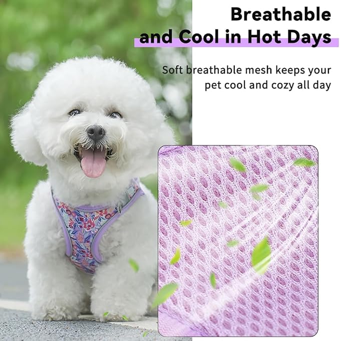 Step in Dog Harness and Leash Set, Flower Adjustable Easy Walk Puppy Harnesses - Image 3