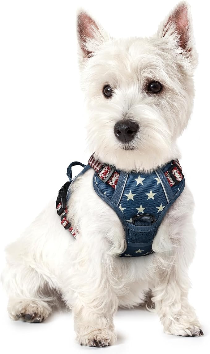 rabbitgoo Dog Harness No Pull by rabbitgoo