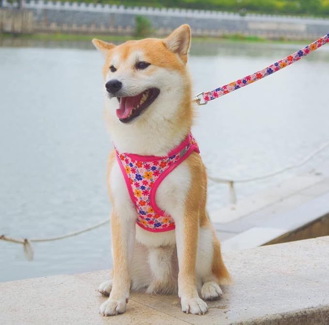 Moonpet Step in Dog Harness Leash Set- All Weather Reflective No-Pull Floral - Image 4