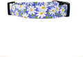 Purple Daisy Dog Collar by Collars+by+Design