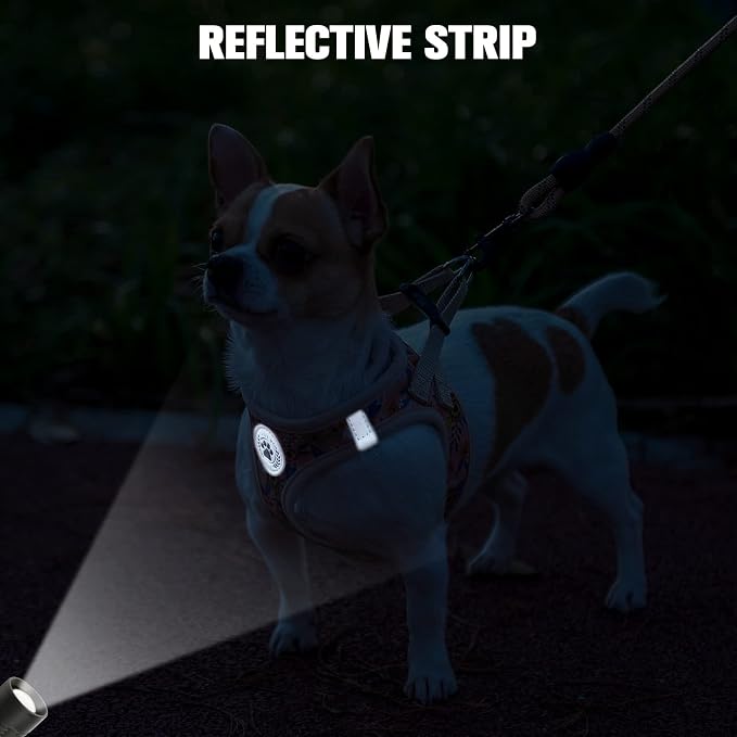 BEAUTYZOO Step in Dog Harness and Leash Set, Floral Pattern Reflective Dog - Image 7