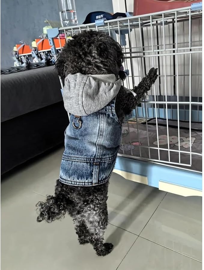 Puppy Harness Jacket for Small Dogs - Image 5