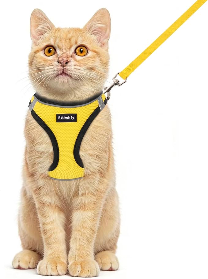 Rttochfy Cat Harness and Leash Set, Escape Proof Kitten Harness, Soft and by Rttochfy
