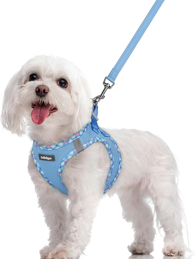 rabbitgoo Dog Harness Small Sized and Leash Set, Step in Soft Light Puppy Vest by rabbitgoo
