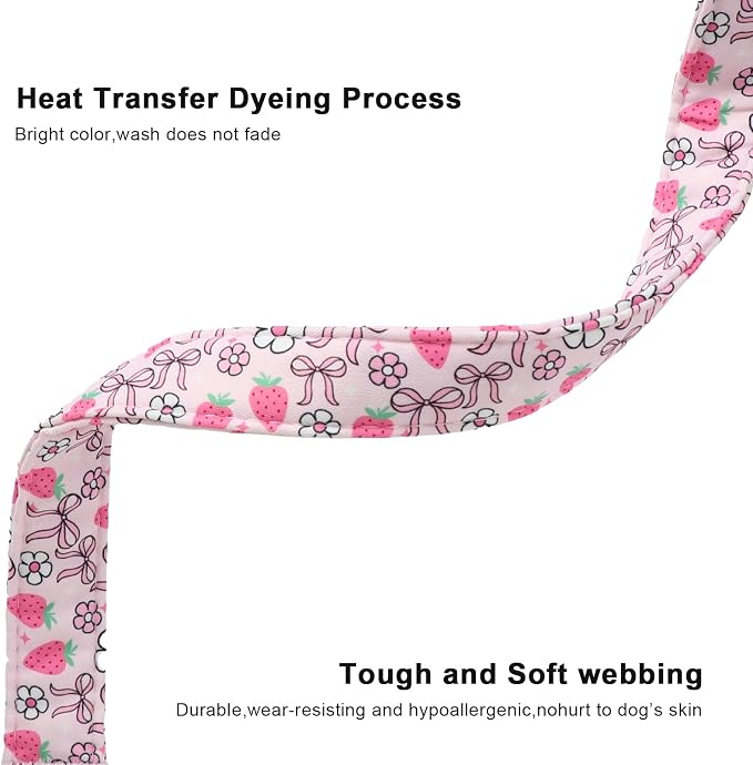 Lionet Paws Spring Dog Collar- Cute Strawberry Pink Dogs Collar - Image 5
