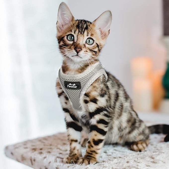 TwoEar Cat Harness Escape Proof, Soft Dog Vest Harness Adjustable, Breathable - Image 6