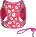 XS ROSEO Flower Pattern Dog Harness and Leash Set, No Escape Puppy Harnesses by Unknown