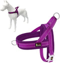 Plutus Pet No Pull Dog Harness by PLUTUSPET