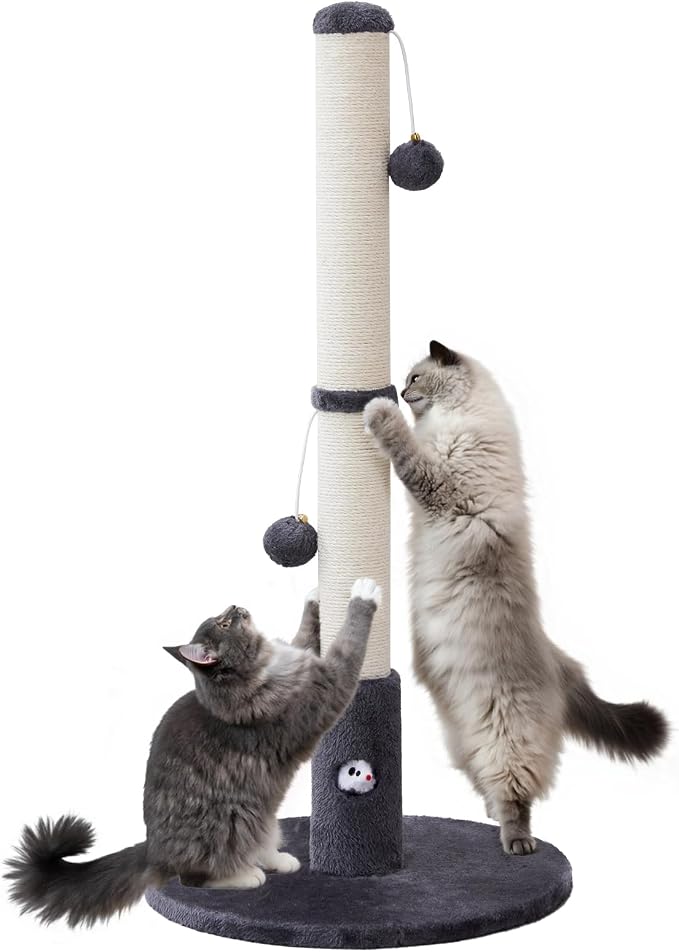 33'' Tall Cat Scratching Post for Adults Cats, Sturdy Large Scratch Pole by WOOCHPET