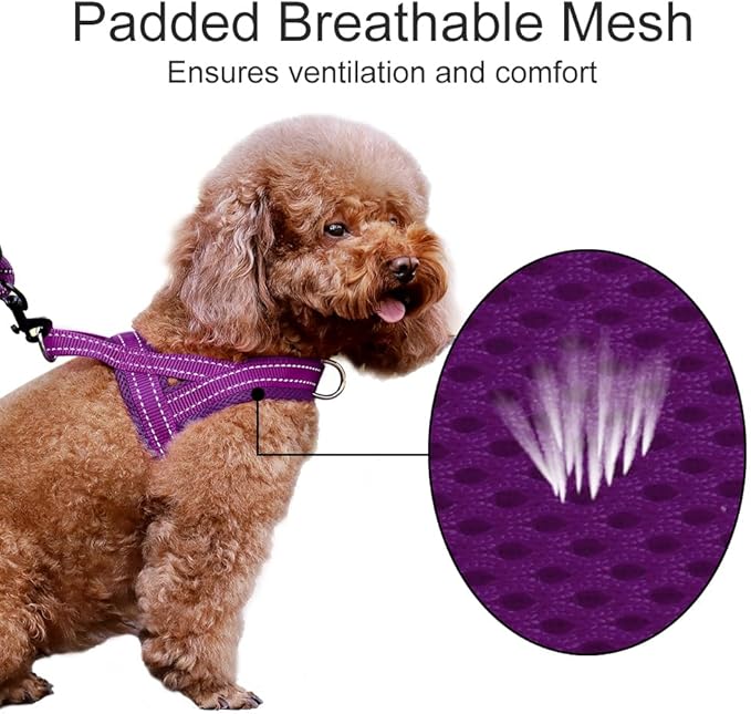 Plutus Pet No Pull Dog Harness - Image 3