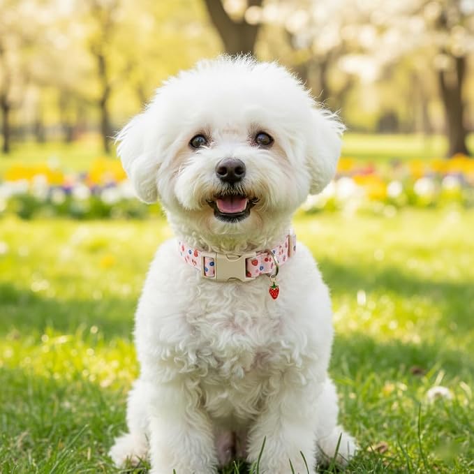 Pink Dog Collar, Girl Dog Collar - Image 5
