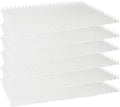 Homarden Cat Deterrent at Home by Homarden