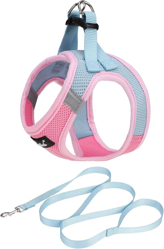 PUPTECK Dog Harness and Leash Set by PUPTECK