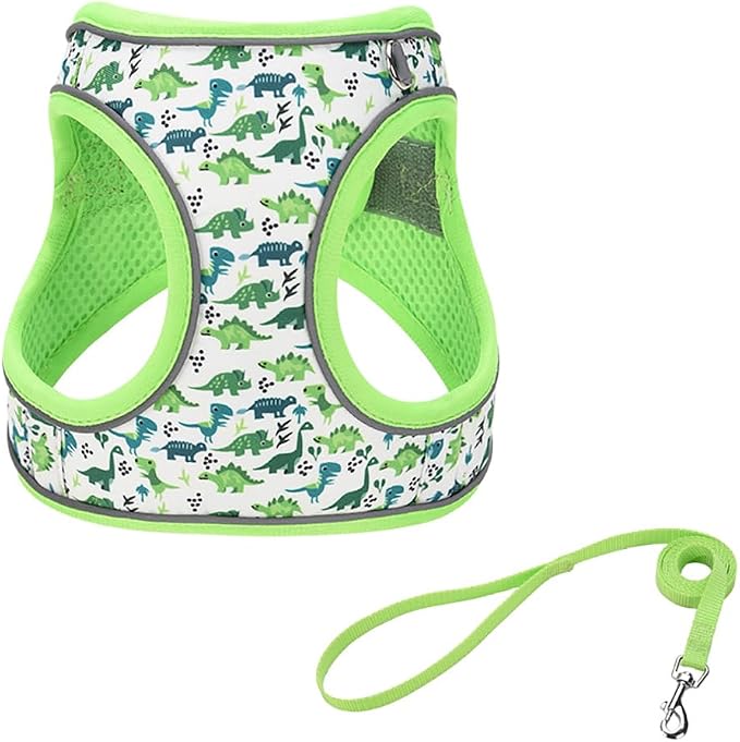 Step in Dog Harness and Leash Set, Flower Adjustable Easy Walk Puppy Harnesses by Flymind
