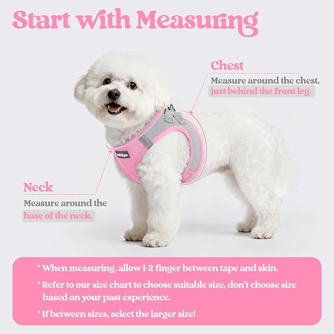 rabbitgoo Dog Harness Small Sized and Leash Set, Step in Soft Light Puppy Vest - Image 2