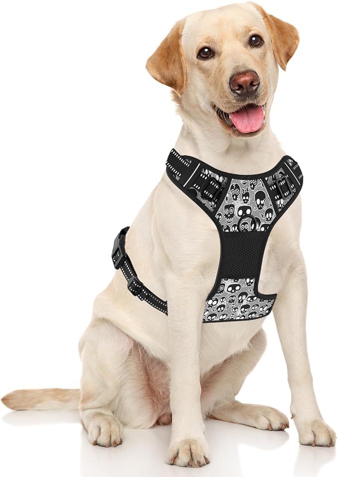 Rnivvi No Pull Dog Harness, Cute Reflective Medium Sized Puppy Kitten Harness - Image 2