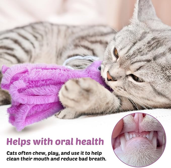 DONGKER Cat Plush Toys - Image 5