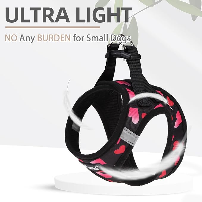 PUPTECK Dog Harness and Leash Set - Image 5