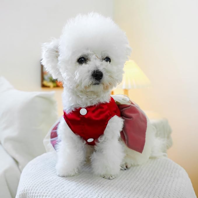 Fashion Sweet Puppy Dog Blingbling Princess Skirt Pet Dog Lace Cake Camisole - Image 4
