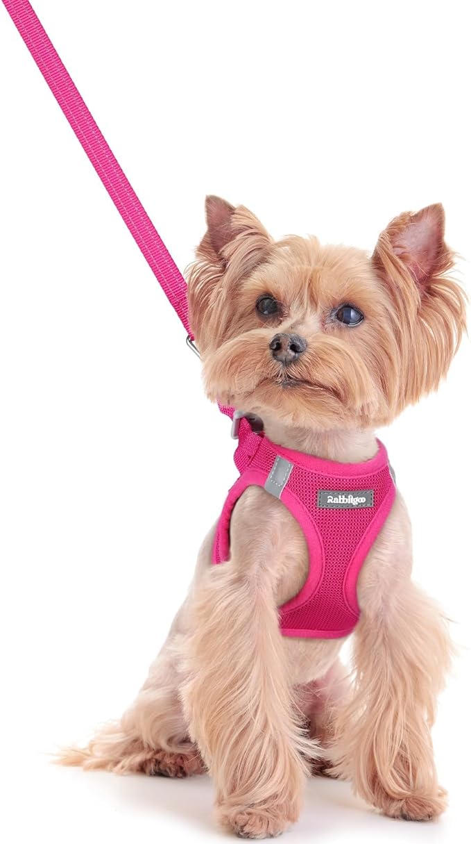 rabbitgoo Dog Harness Small Sized and Leash Set, Step in Soft Light Puppy Vest by rabbitgoo
