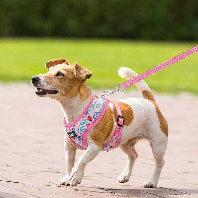 PUPTECK Soft Mesh Dog Harness and Leash Set Pet Puppy Cat Comfort Padded Vest - Image 6