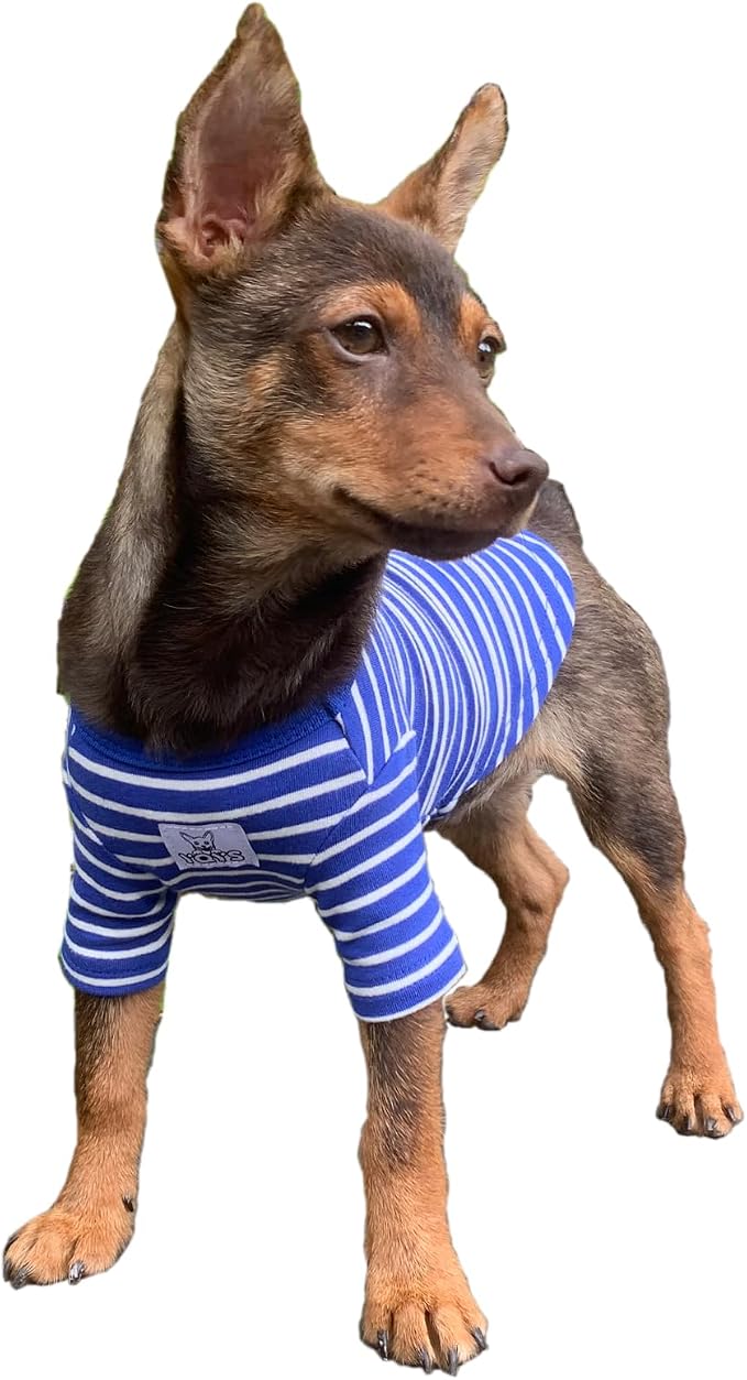 YQYS Pet T-Shirts Thick Striped Cotton Tee Shirt by YQYS-SmallDogClothing