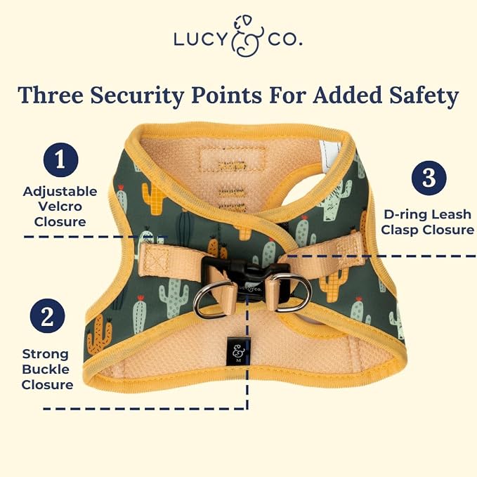 Lucy & Co. Looking Sharp Step-in Cat Harness & Leash Bundle – Reflective - Image 4