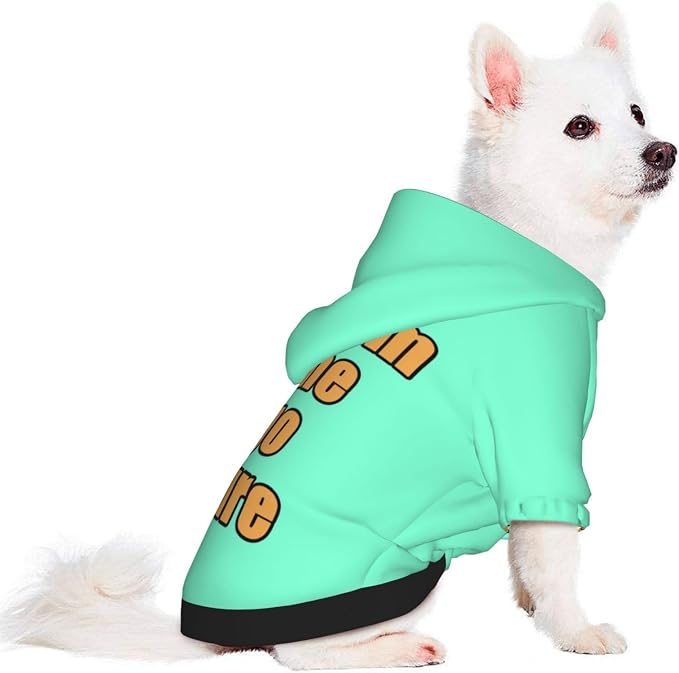 Custom Hoodie for Small Dogs Clothes Pajamas Sweater Personalized Dog Clothes - Image 3