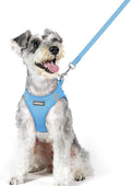 rabbitgoo Dog Harness Small Medium Sized and Leash Set, Step in Soft Light by rabbitgoo
