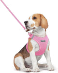 rabbitgoo Dog Harness Small Medium Sized and Leash Set, Step in Soft Light by rabbitgoo