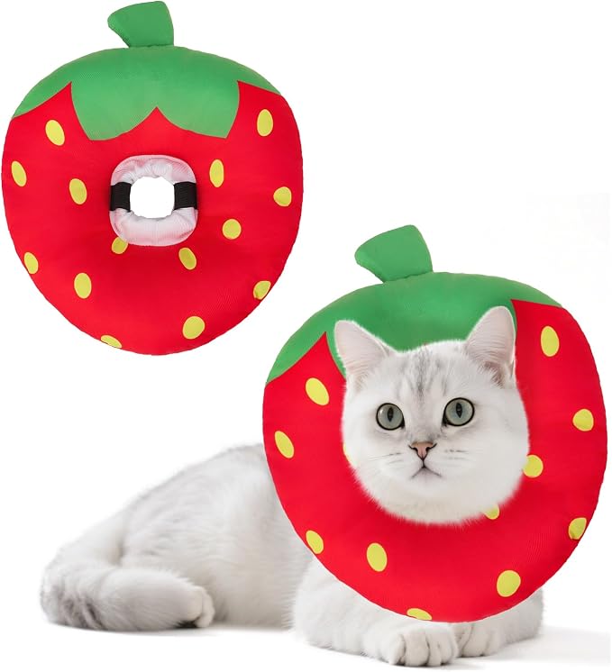 BEAUTYZOO Cat Cone Collars Soft, Cat Recovery E Collars After Surgery to Stop by BEAUTYZOO