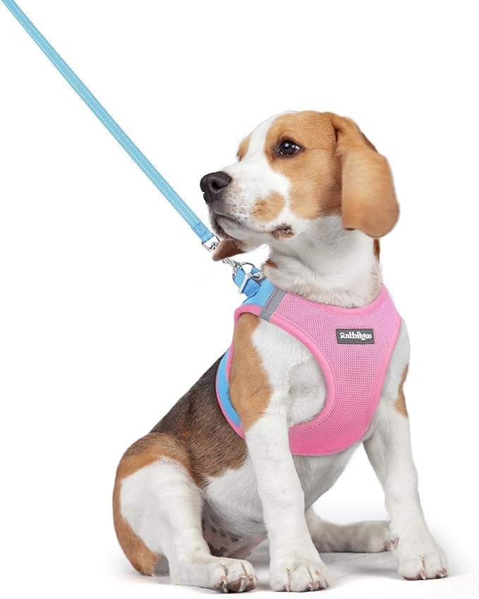 rabbitgoo Dog Harness Small Medium Sized and Leash Set, Step in Soft Light by rabbitgoo