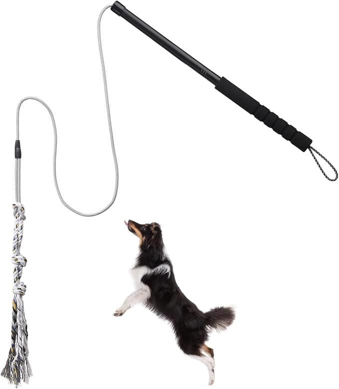 Flirt Pole for Small Medium Dogs, Interactive Chase and Tug of War Outdoor Dog by ABtool