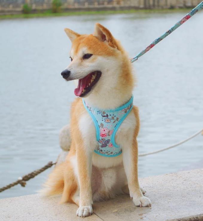 Moonpet Step in Dog Harness Leash Set- All Weather Reflective No-Pull Floral - Image 4