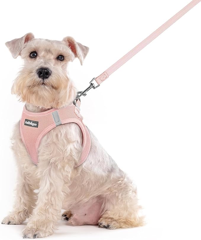 rabbitgoo Dog Harness Small Sized and Leash Set, Step in Soft Light Puppy Vest by rabbitgoo