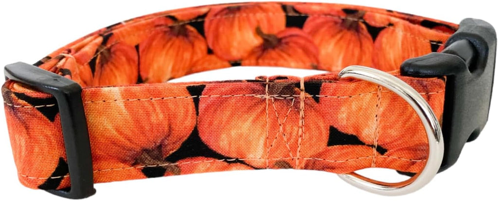 Orange Pumpkins Dog Collar - Image 3