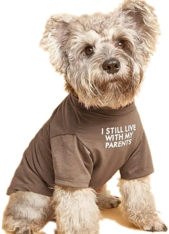 Cute Dog Clothes T Shirt for Medium Dog and Small Dogs Girl Boy, - Image 2