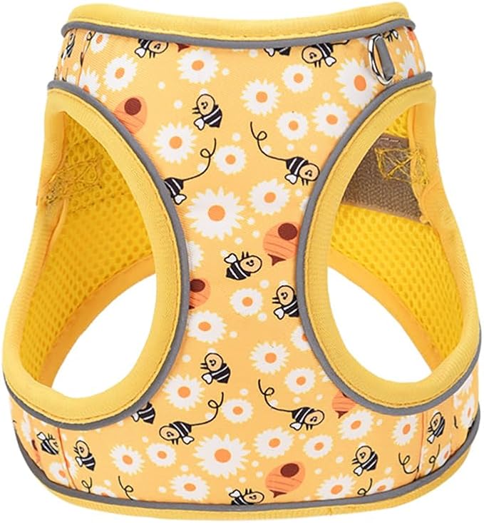 Step in Dog Harness and Leash Set, Flower Adjustable Easy Walk Puppy Harnesses - Image 2