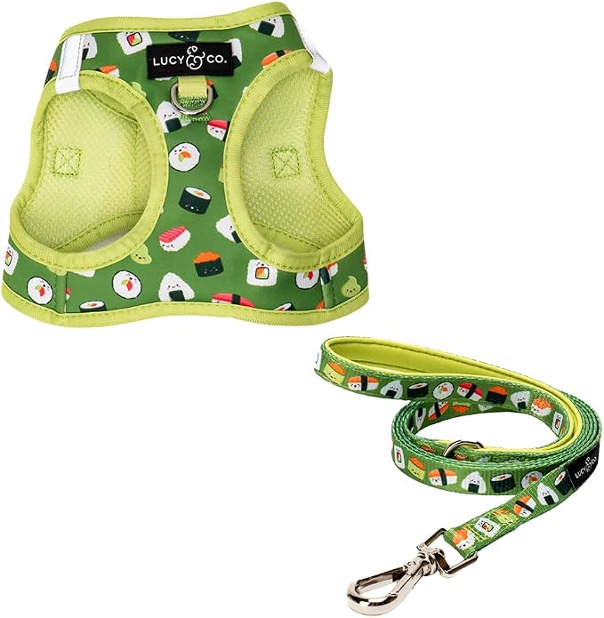 Lucy & Co. How I Roll Step-in Cat Harness & Leash Bundle – Reflective, by LucyCo