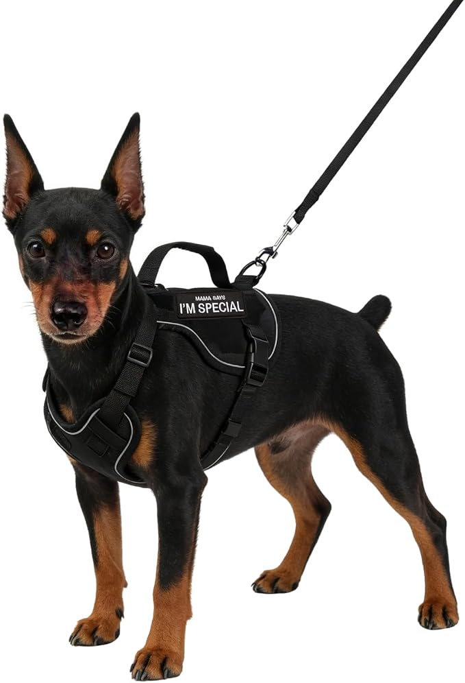 Tactical Dog Harness and Leash Set by SEZDEKI