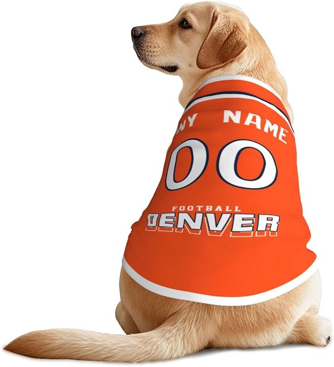 Denver Custom Pet Jersey Dog Clothes Jersey Various Sizes Customized Any Name & by EaunyVerat
