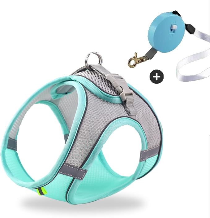 Retractable Leash and Harness for Small Pet, Lightweight, Handsfree Clip Cat by Unknown