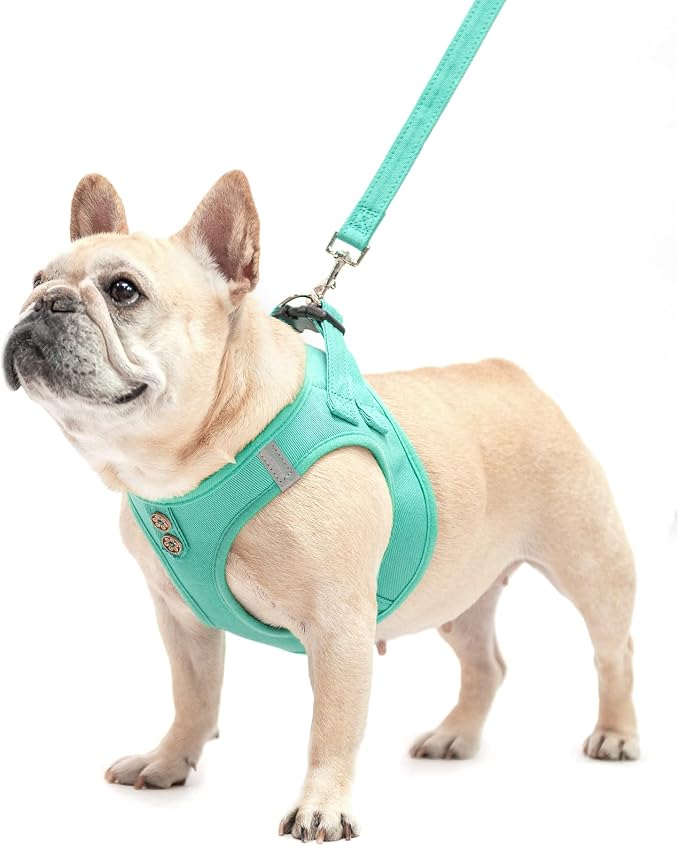 PUPTECK Dog Harness and Leash Set - Image 7