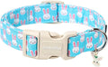 Lionet Paws Easter Dog Collar- Cute Bunny Blue Dog Collars by lionetpaws
