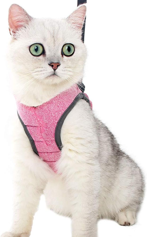 HEYWEAN Cat Harness and Leash - Image 6