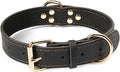 Leather Dog Collar, Heavy Duty, by DAIHAQIKO